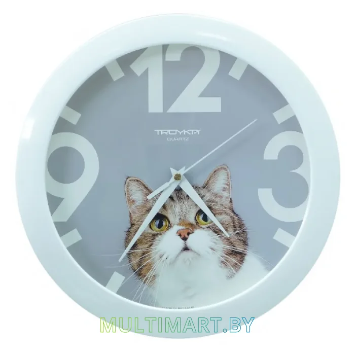 Настенные часы TROYKA 11110193